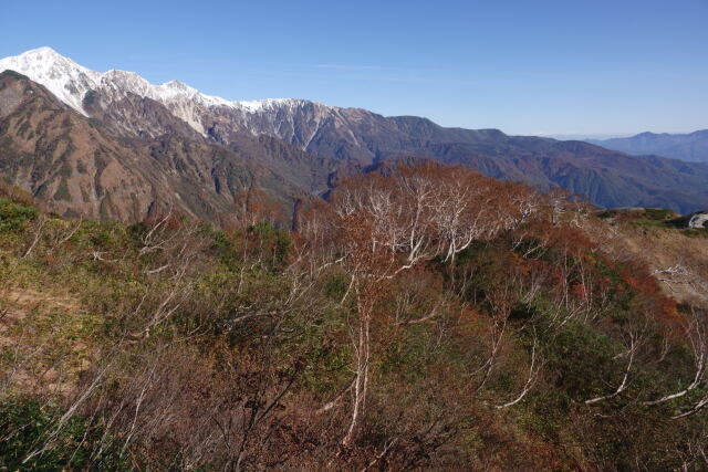 八方尾根にて