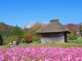 紅葉の大山と茅葺き小屋2