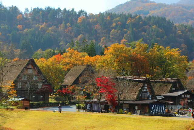 白川郷紅葉