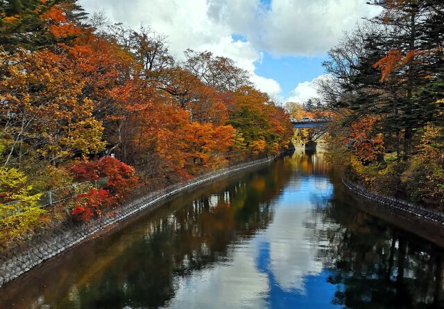 日光いろは坂紅葉