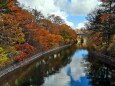 日光いろは坂紅葉