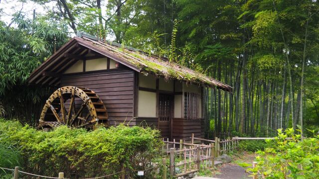 秋の府中市郷土の森博物館