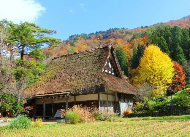 秋の白川郷