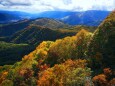 栂池高原紅葉