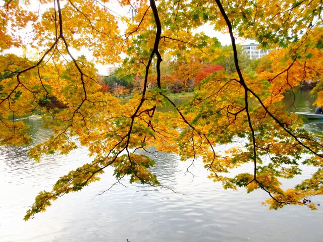 晩秋の公園