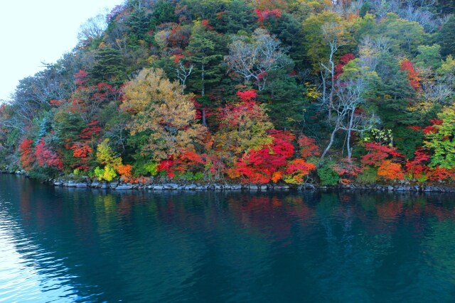 中禅寺湖紅葉