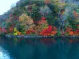 中禅寺湖紅葉