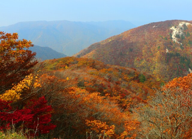 御在所岳紅葉