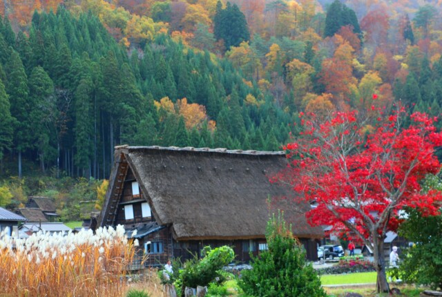 秋の白川郷