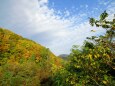 紅葉の山に向かいて