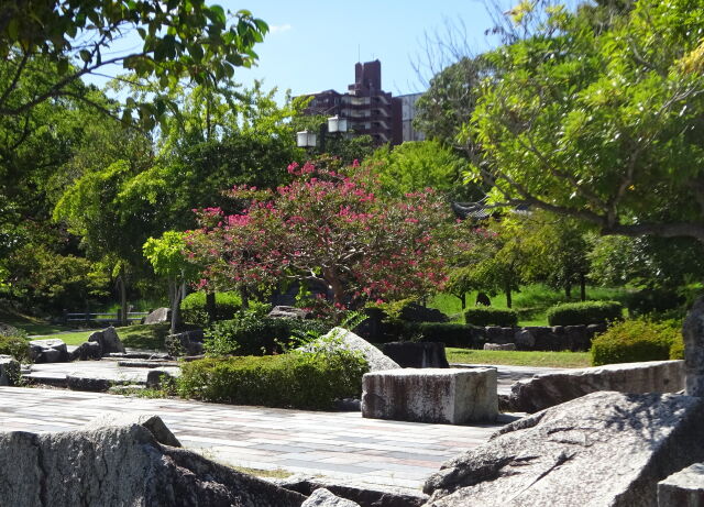 秋が近づく静かな公園