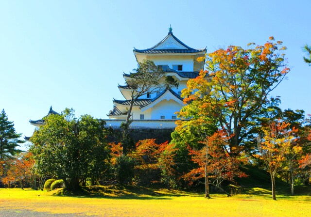 秋の伊賀上野城