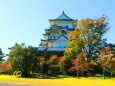 秋の伊賀上野城