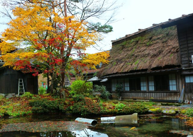 白川郷紅葉