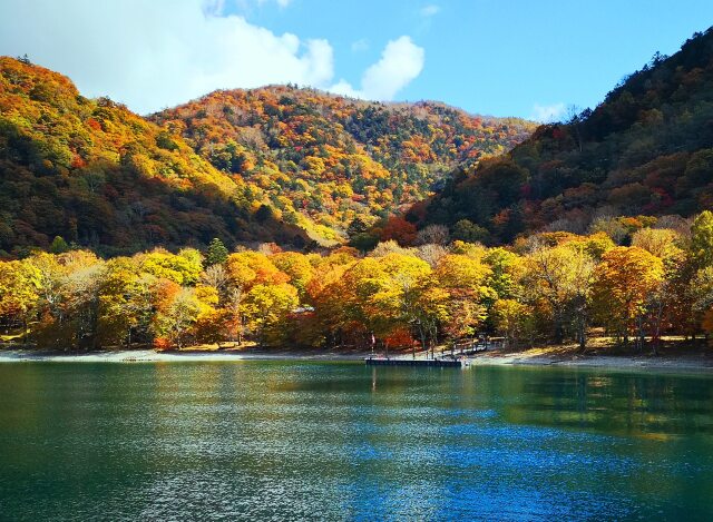 中禅寺湖紅葉