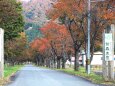 秋の前森高原