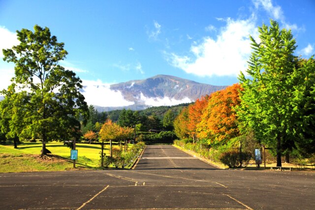 秋の公園