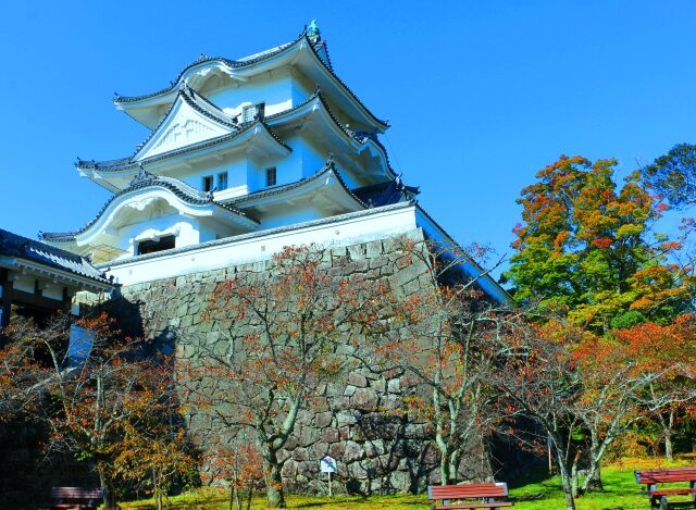 秋の伊賀上野城