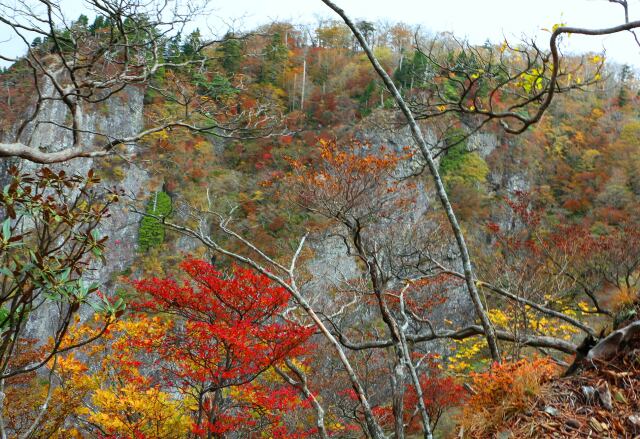 大台ケ原紅葉