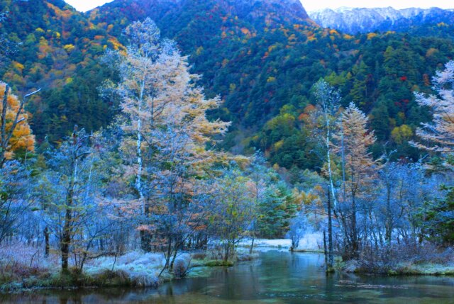 霜の田代湿原