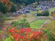 白川郷紅葉