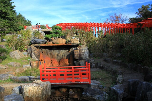 高山稲荷神社 千本鳥居