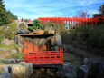 高山稲荷神社 千本鳥居