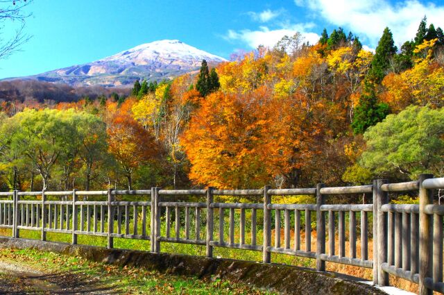 冠雪の鳥海山と紅葉