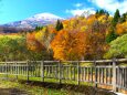 冠雪の鳥海山と紅葉