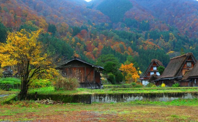 白川郷紅葉