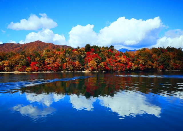 中禅寺湖紅葉