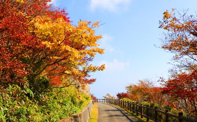 御在所岳紅葉