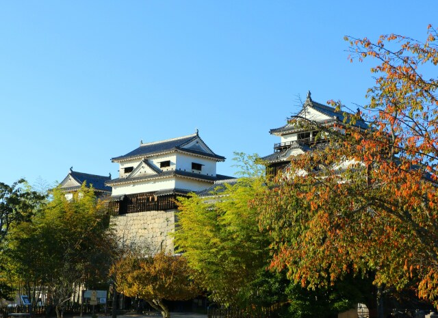 秋の松山城