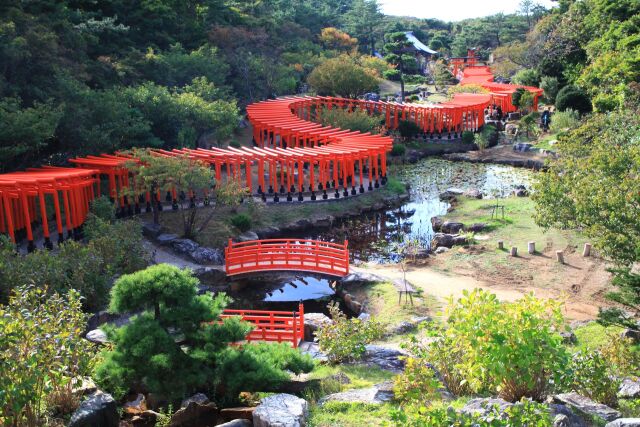 高山稲荷神社 千本鳥居