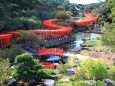 高山稲荷神社 千本鳥居