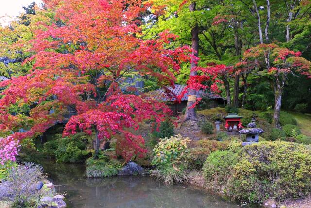 日光山輪王寺紅葉