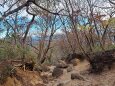 色づく登山道