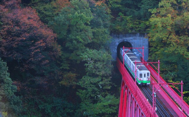 黒部トロッコ列車