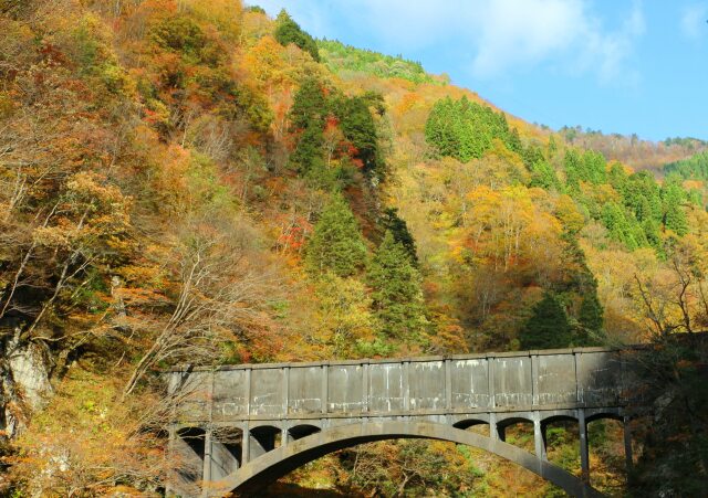 黒部峡谷トロッコ電車車窓