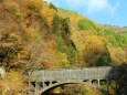 黒部峡谷トロッコ電車車窓