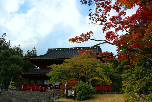 日光山輪王寺紅葉