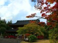 日光山輪王寺紅葉