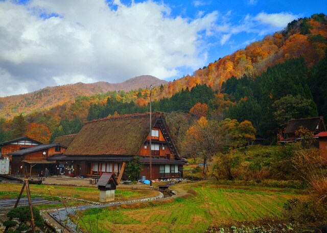 白川郷紅葉