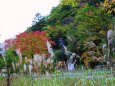 秋の平湯温泉