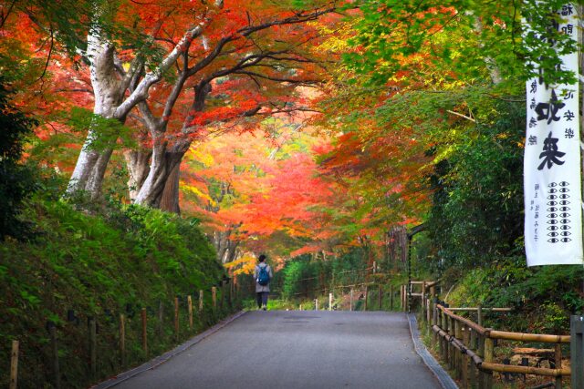 秋の中尊寺