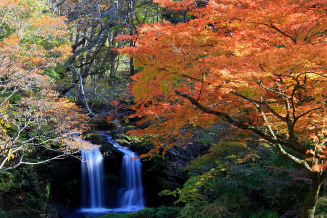 滝の紅葉