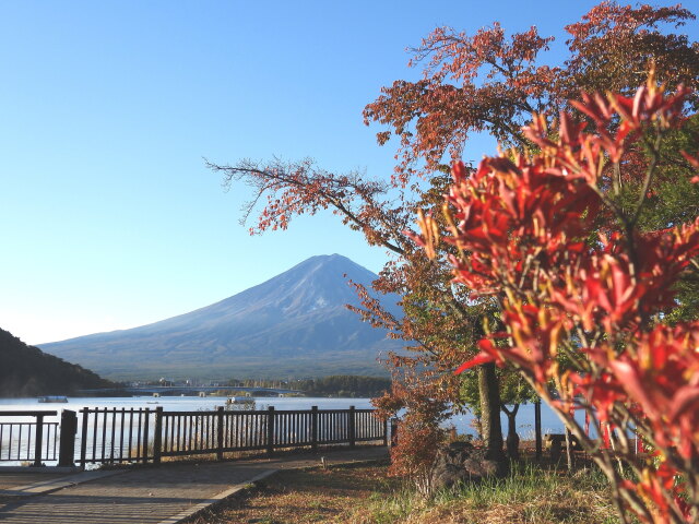 秋の河口湖