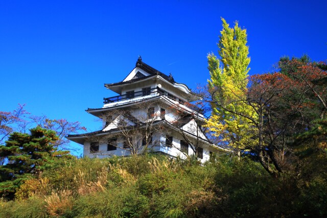 秋の衣川城