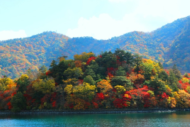 中禅寺湖紅葉