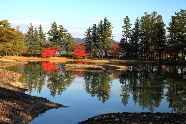 秋の毛越寺